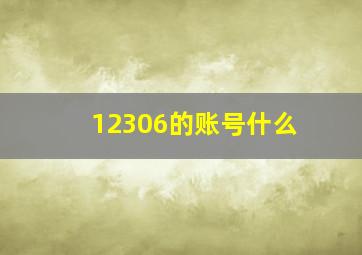 12306的账号什么