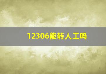 12306能转人工吗