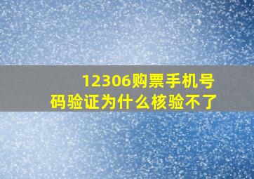 12306购票手机号码验证为什么核验不了