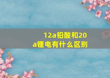 12a铅酸和20a锂电有什么区别