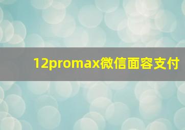 12promax微信面容支付