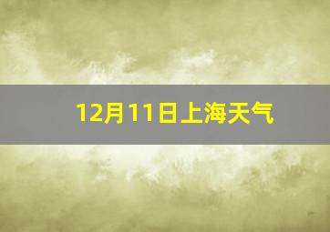 12月11日上海天气