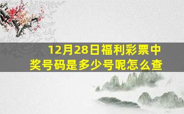 12月28日福利彩票中奖号码是多少号呢怎么查