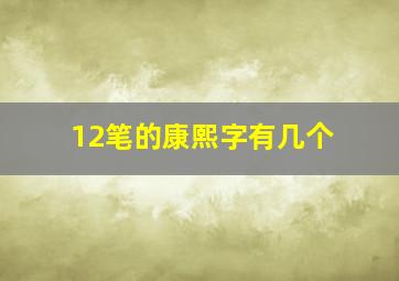 12笔的康熙字有几个