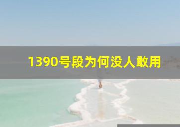 1390号段为何没人敢用