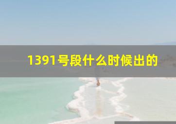 1391号段什么时候出的