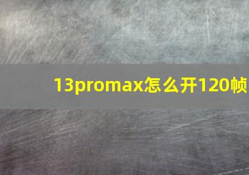 13promax怎么开120帧