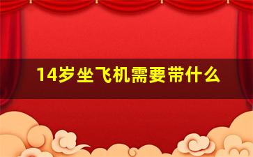 14岁坐飞机需要带什么