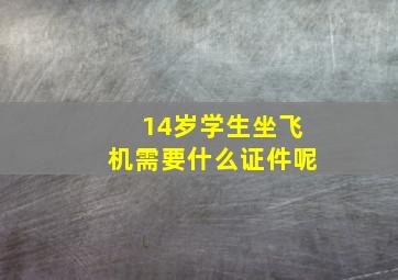 14岁学生坐飞机需要什么证件呢