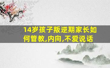 14岁孩子叛逆期家长如何管教,内向,不爱说话