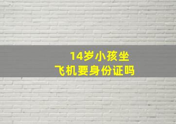 14岁小孩坐飞机要身份证吗