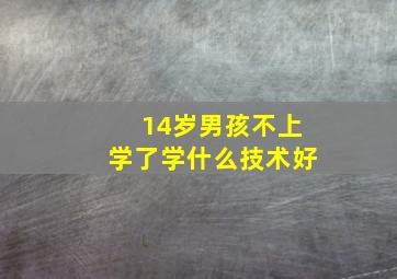 14岁男孩不上学了学什么技术好