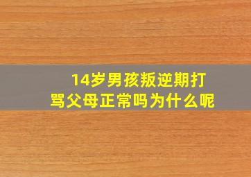 14岁男孩叛逆期打骂父母正常吗为什么呢