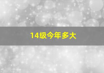 14级今年多大