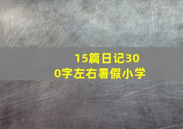 15篇日记300字左右暑假小学