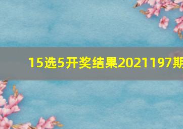 15选5开奖结果2021197期