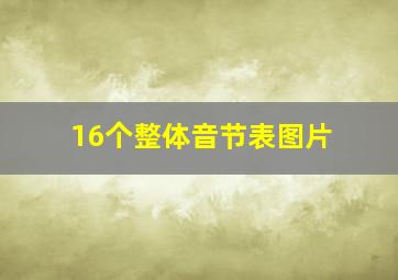 16个整体音节表图片