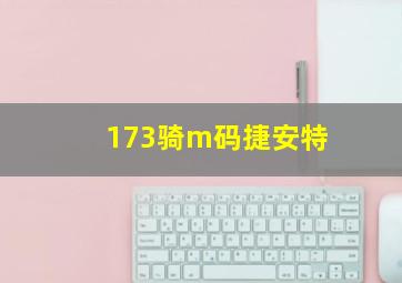 173骑m码捷安特