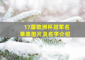 17届欧洲杯冠军名单表图片及名字介绍