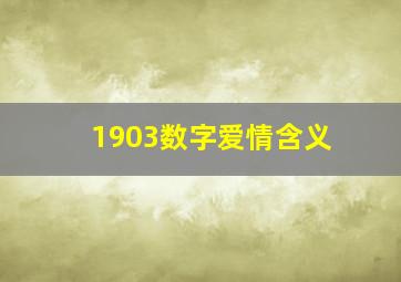 1903数字爱情含义