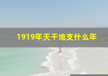 1919年天干地支什么年