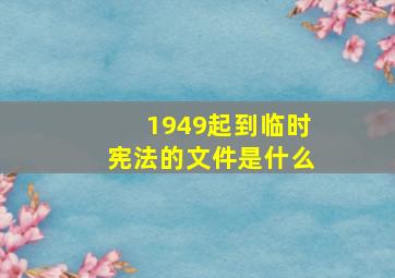 1949起到临时宪法的文件是什么