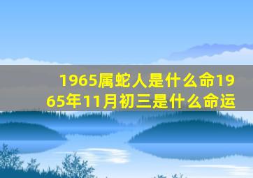 1965属蛇人是什么命1965年11月初三是什么命运