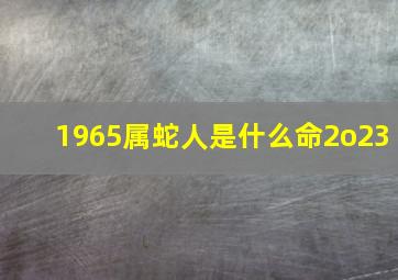 1965属蛇人是什么命2o23