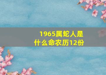 1965属蛇人是什么命农历12份