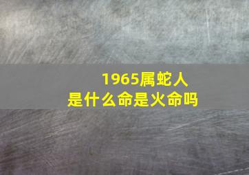 1965属蛇人是什么命是火命吗