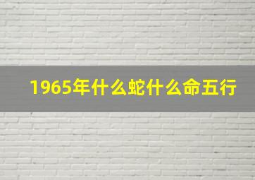 1965年什么蛇什么命五行