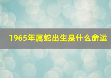 1965年属蛇出生是什么命运