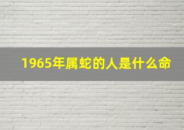 1965年属蛇的人是什么命