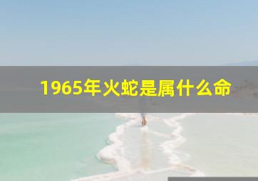 1965年火蛇是属什么命