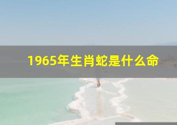 1965年生肖蛇是什么命