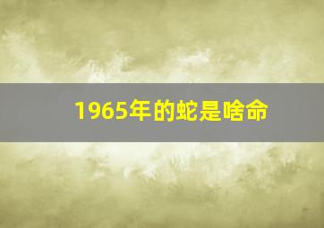 1965年的蛇是啥命