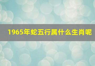 1965年蛇五行属什么生肖呢