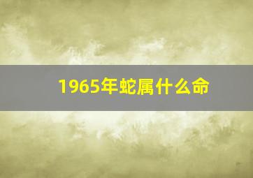 1965年蛇属什么命