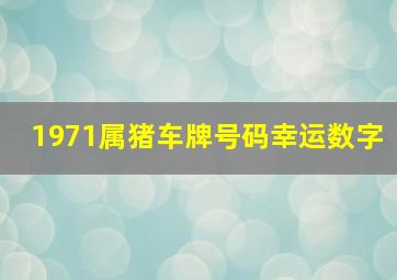 1971属猪车牌号码幸运数字