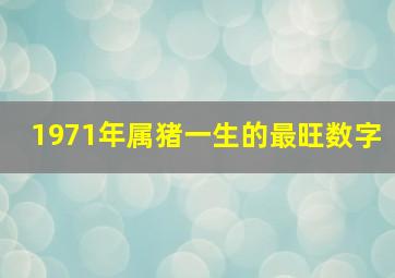 1971年属猪一生的最旺数字