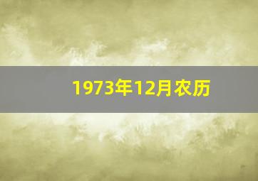 1973年12月农历