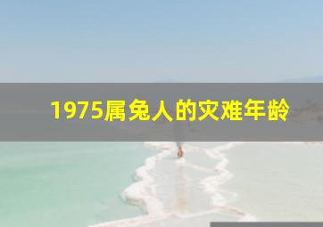 1975属兔人的灾难年龄