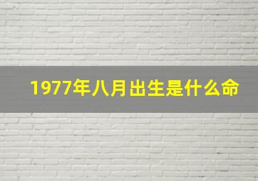 1977年八月出生是什么命