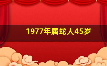 1977年属蛇人45岁