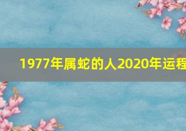 1977年属蛇的人2020年运程