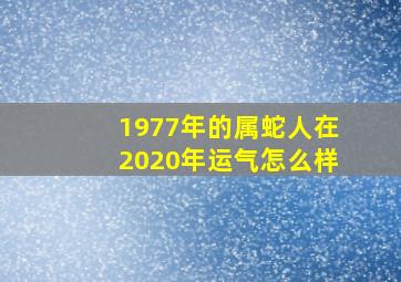 1977年的属蛇人在2020年运气怎么样