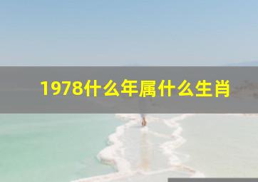 1978什么年属什么生肖