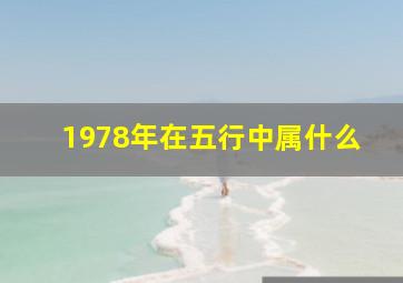 1978年在五行中属什么