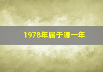 1978年属于哪一年