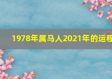 1978年属马人2021年的运程